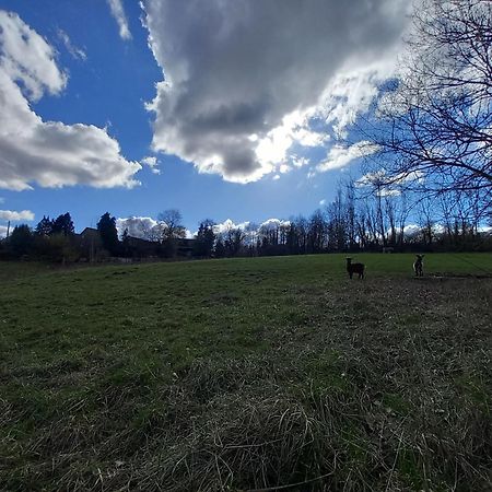 Les Hauts De Meez Apartman Dinant Kültér fotó